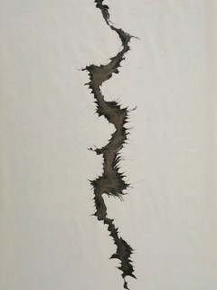 Our fault line Our fault line