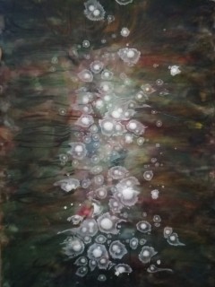 A trail of jellyfish