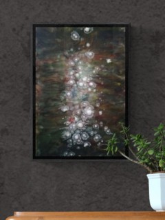 A trail of jellyfish